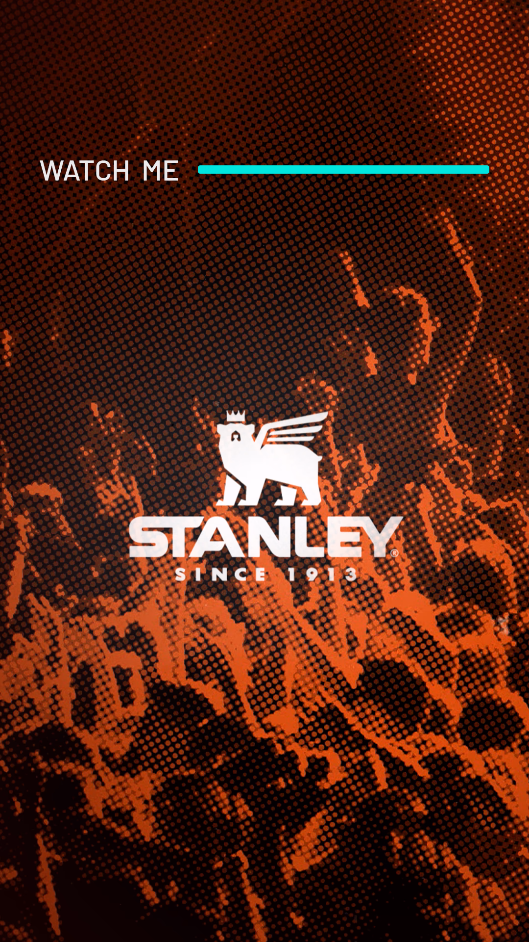 Post 2 de 3 do projeto Stanley no Instagram